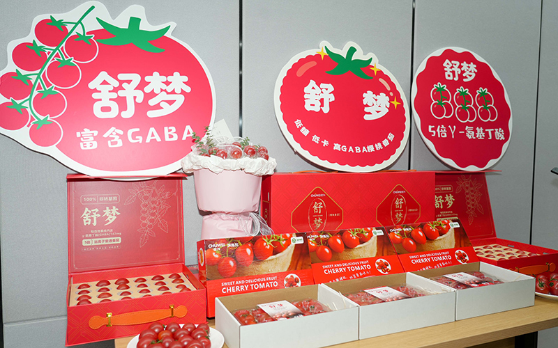 番茄新品种“舒梦”